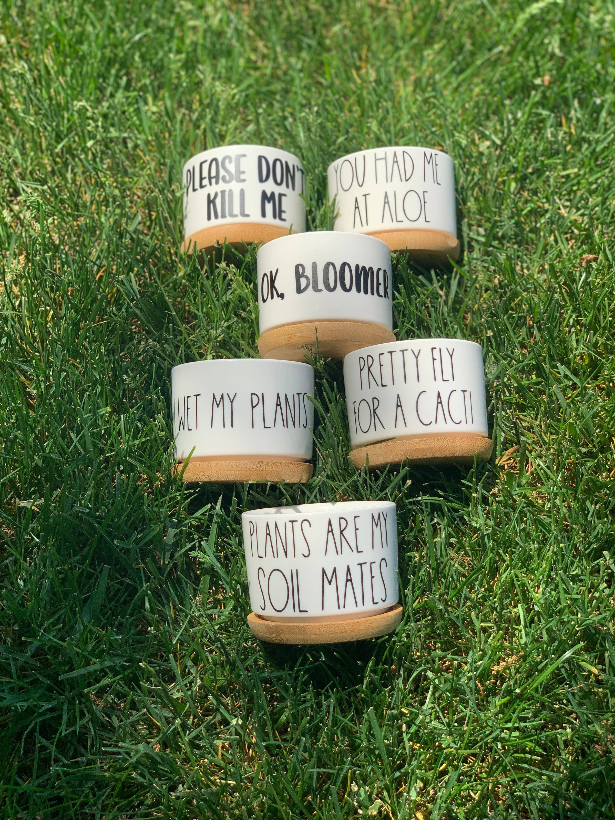 Funny Mini Planters, Punny Plant Pot, Cute Succulent Planter | PET-TOPIA