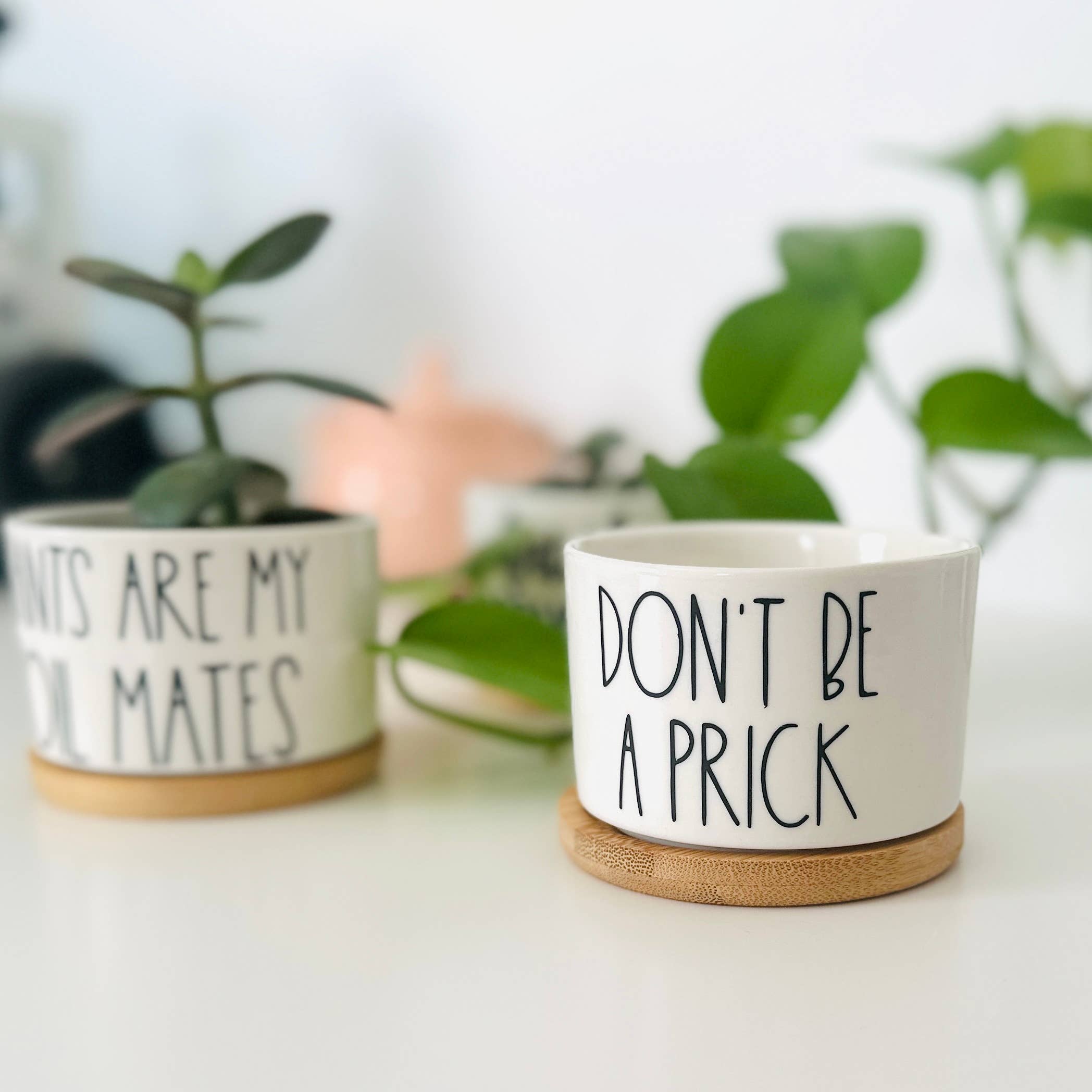 Funny Mini Planters, Punny Plant Pot, Cute Succulent Planter | PET-TOPIA