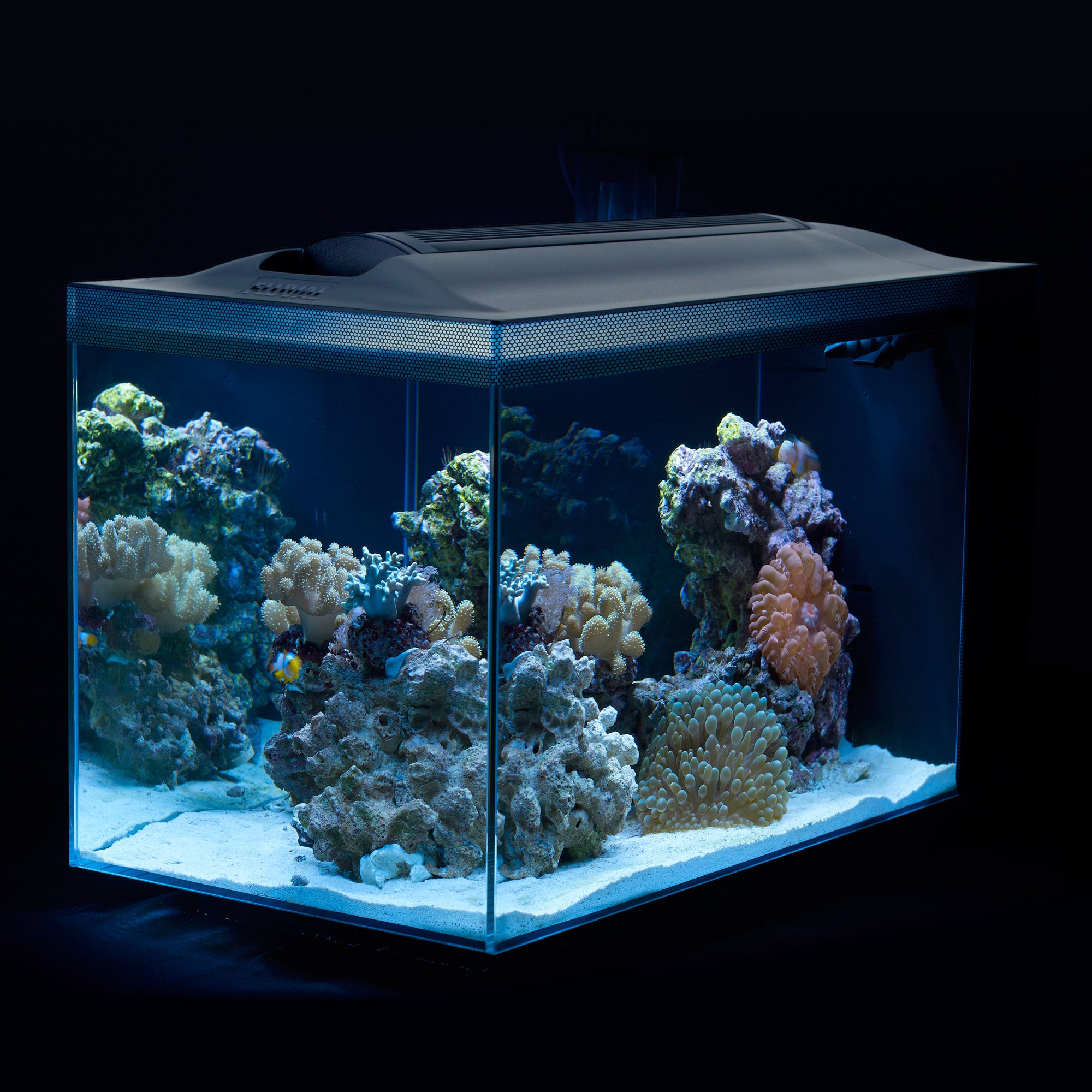 Fish Tank Intank Media Basket Fluval Evo Fluval Evo Basket INTANK CHAMBER ONE Media Basket For Fluval Evo Fluval Evo  52L PicClick