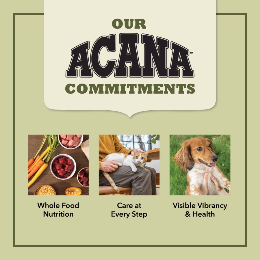 best dog food border collie mix purina pro plan Purina Pro Plan Adult Large Breed Chicken & Rice Dry Dog Food