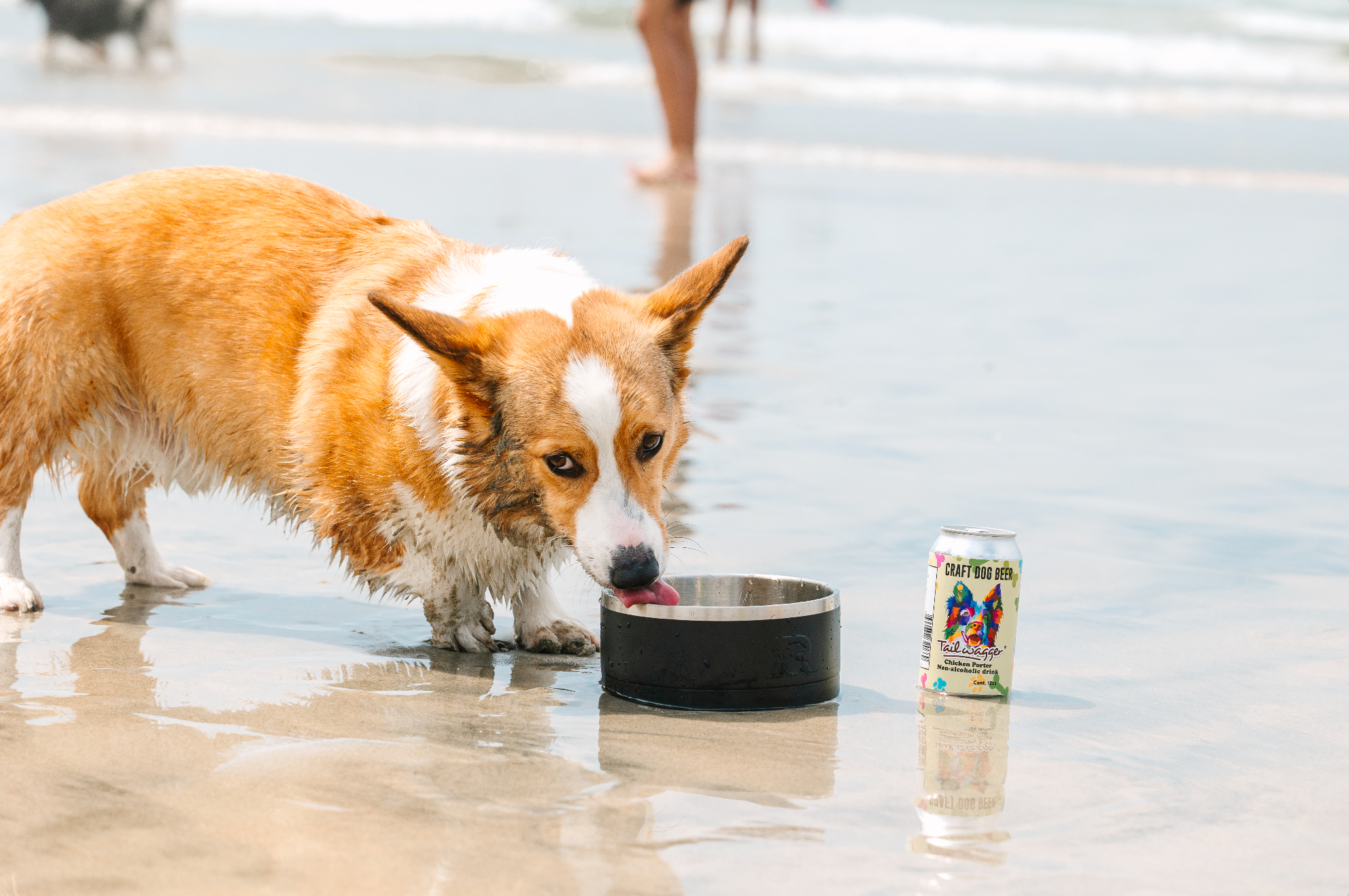 Tailwagger Chicken Porter Dog Beer Treat | PET-TOPIA