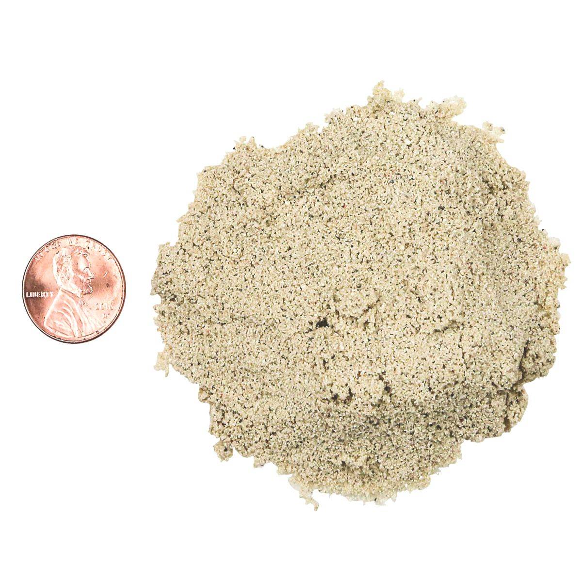 CaribSea Arag-Alive Reef Sand 20 Lb Bag - Bahamas Oolite Special Grade For Marine Aquariums