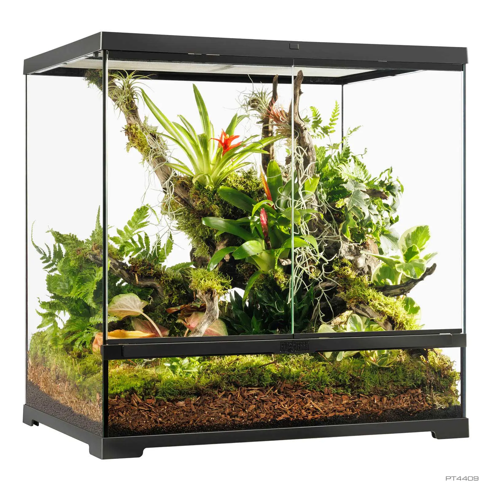 Exo Terra Pro Terrarium Medium Tall | PET-TOPIA