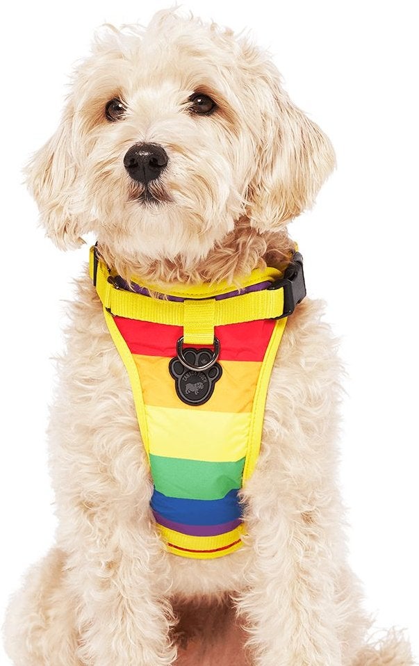 Canada Pooch The Everything No Pull Dog Harness Rainbow | PET-TOPIA