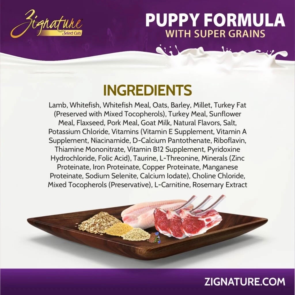l-carnitine in puppy food Dog Supplement 60ct Supports Energy Vitality & Healthy Weight Zignature Select Cuts Puppy Formula
