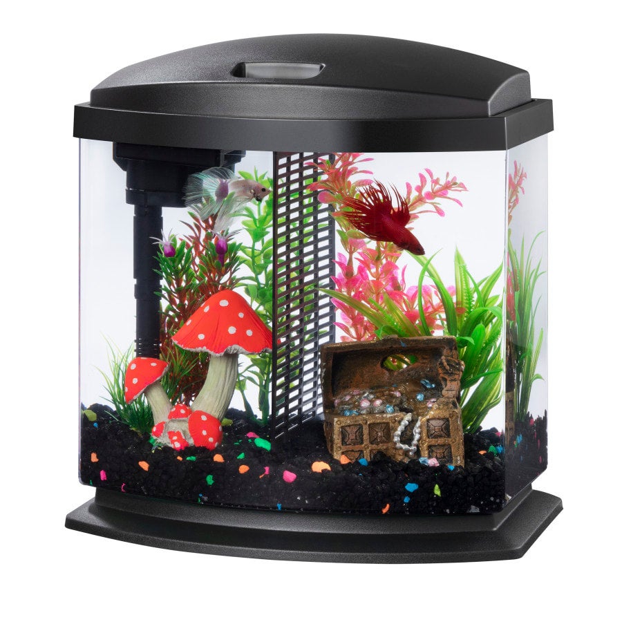 Aqueon Gallon Black Betta Bow LED SmartClean Aquarium Kit