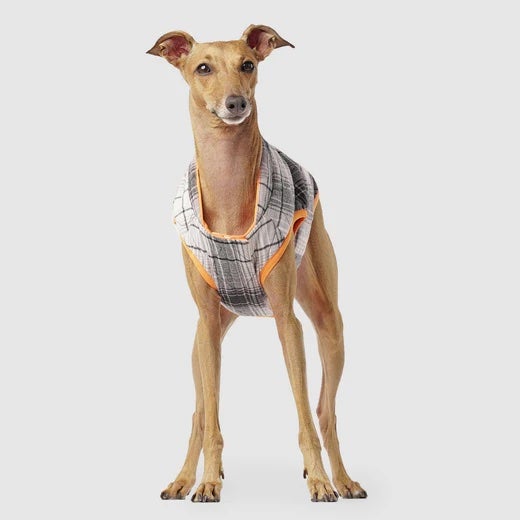 Canada Pooch Orange & Plaid Reversible Vest for Dogs | PET-TOPIA