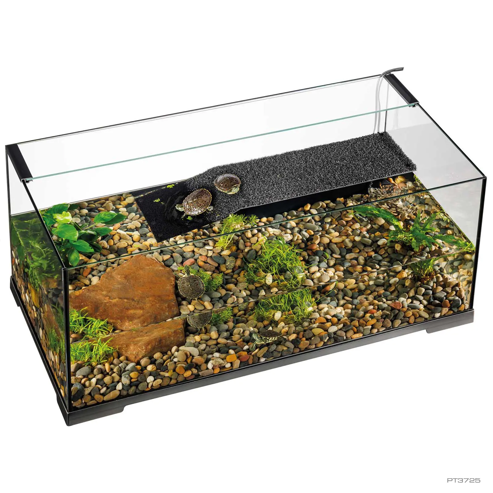 Exo Terra Turtle Haven Aquatic Turtle Terrarium | PET-TOPIA