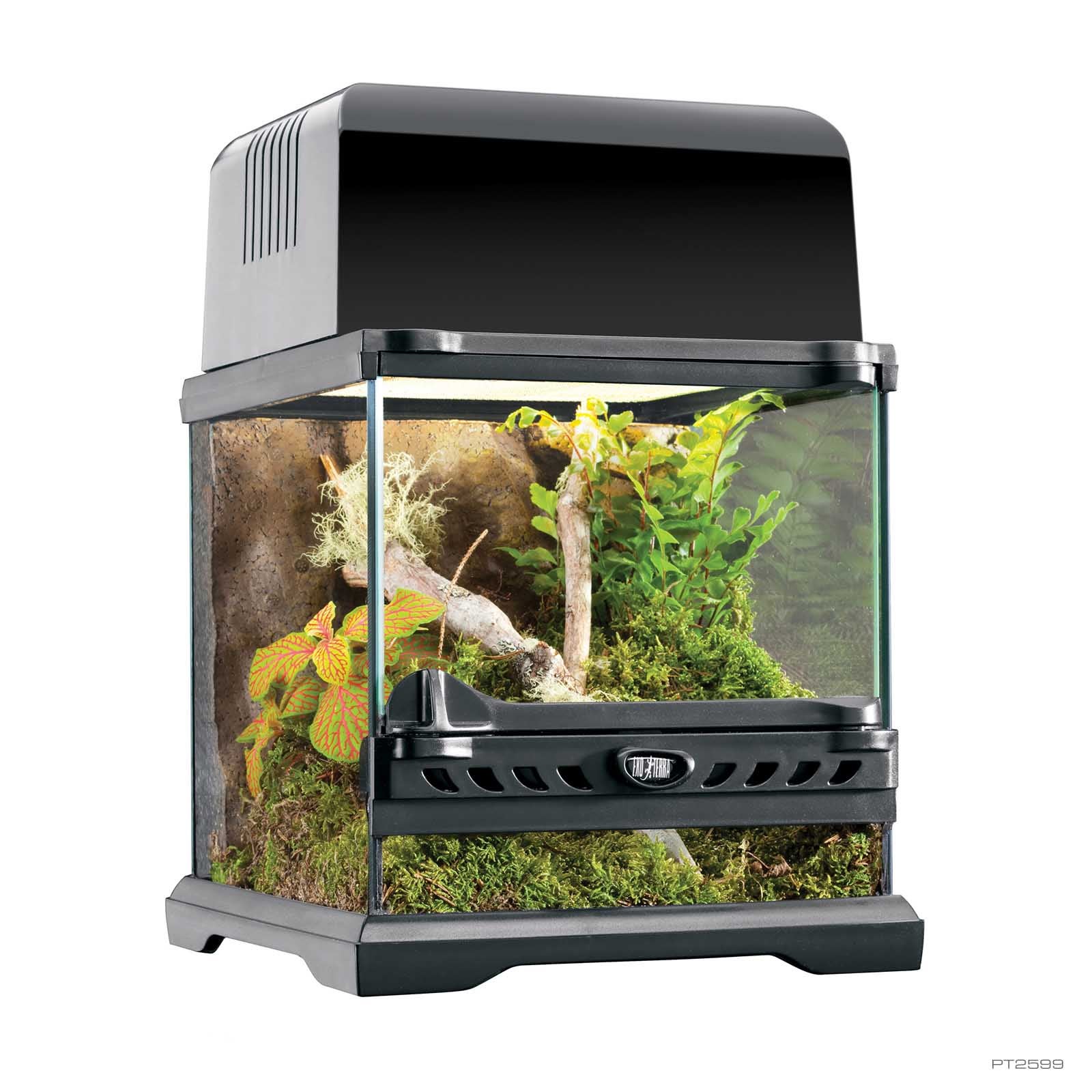 Exo Terra Nano Wide Natural Glass Terrarium | PET-TOPIA