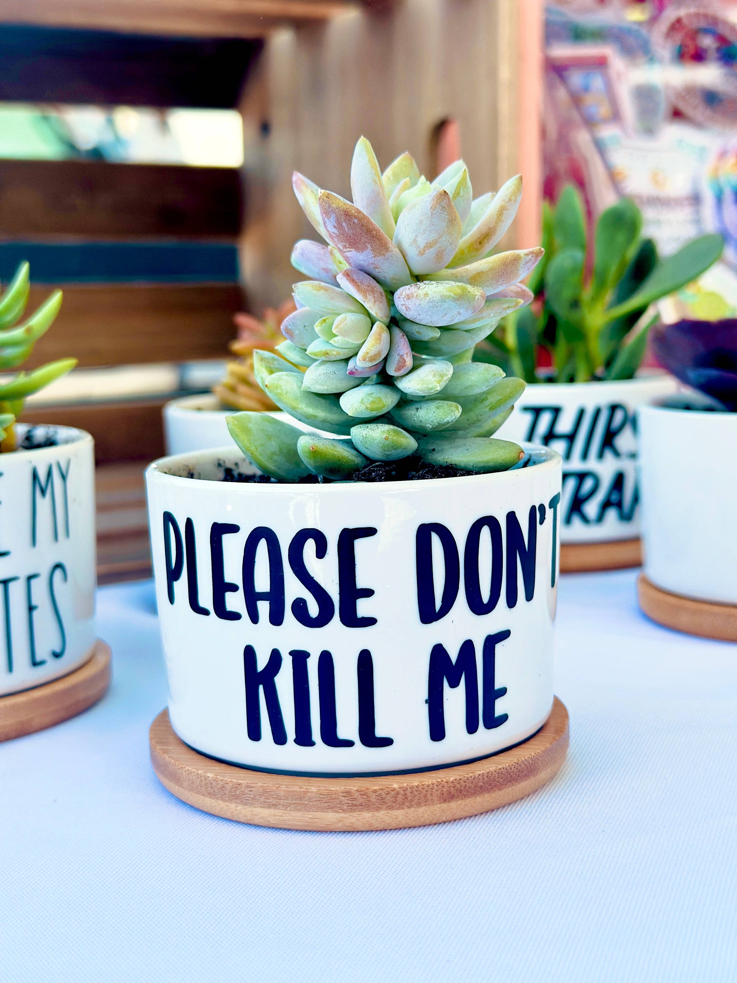 Funny Mini Planters, Punny Plant Pot, Cute Succulent Planter | PET-TOPIA