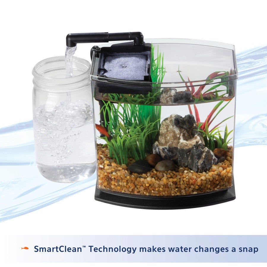 Aqueon 1 Gallon LED MiniBow Kit with SmartClean Technology Blue | PET-TOPIA Aqueon 1 Gallon LED MiniBow Kit with SmartClean Technology Blue | PET-TOPIA