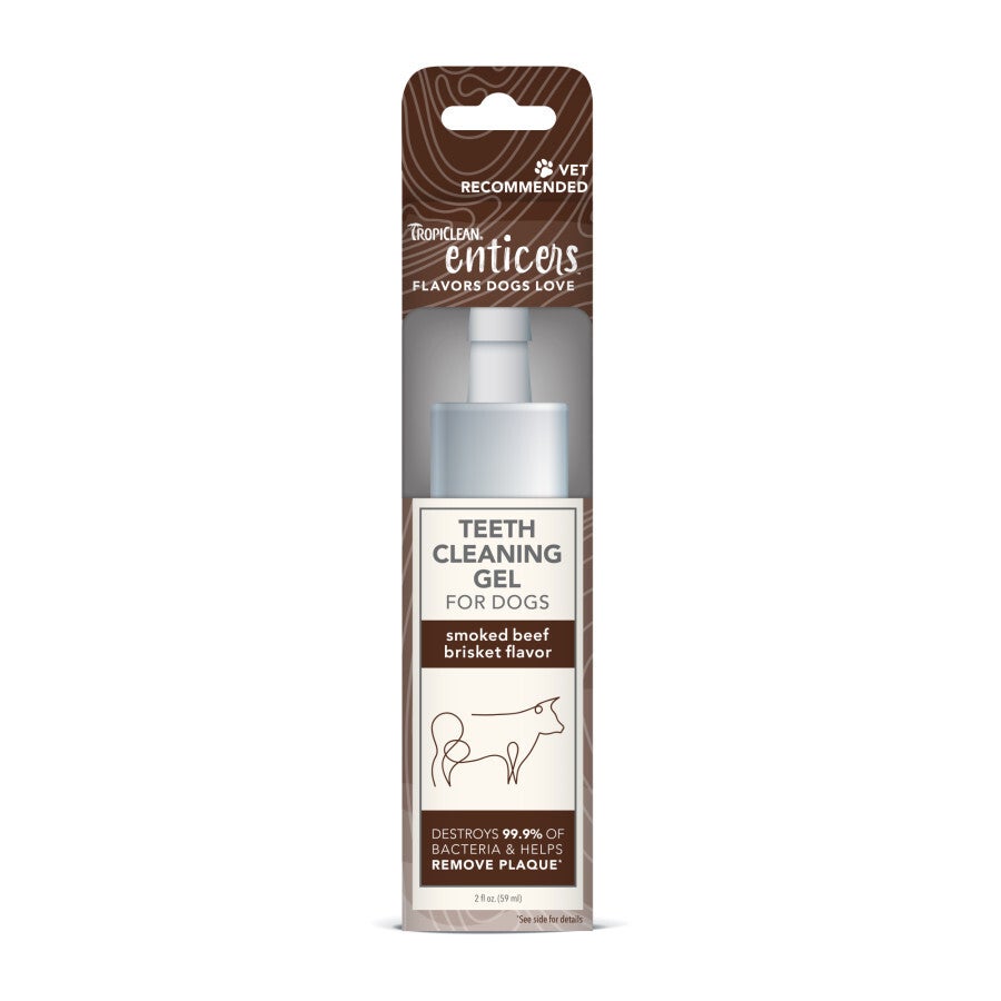 Frontline teeth cleaner outlet
