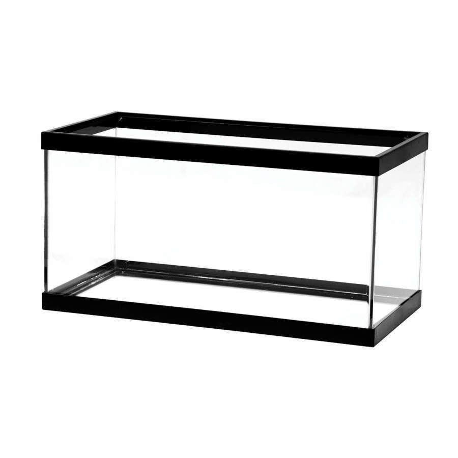 15 gallon fish tank shop