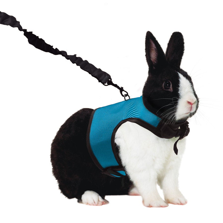 Kaytee Comfort Harness Stretchy Leash Extra Large PET TOPIA