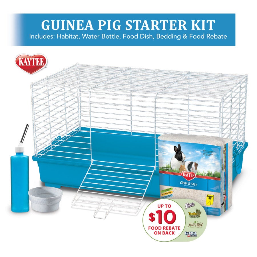Guinea pig 2025 cage starter kit