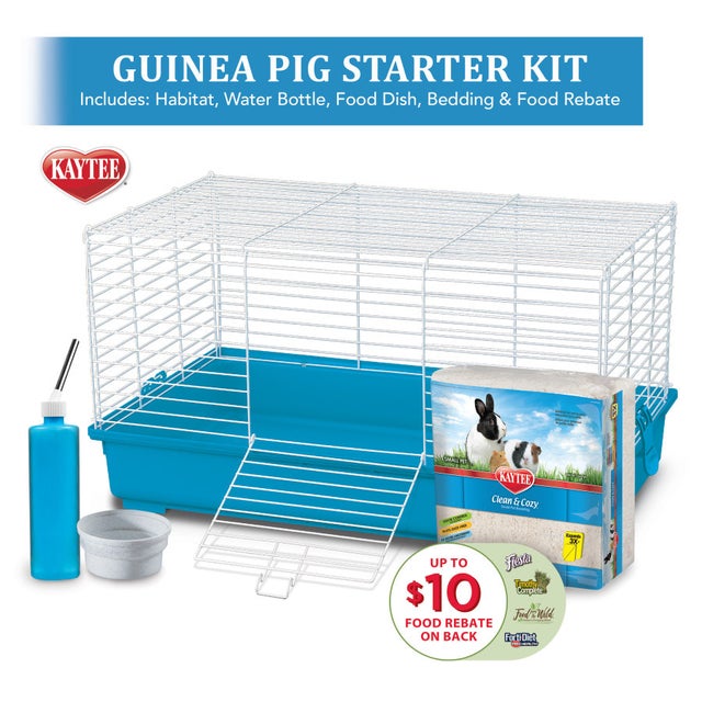 Guinea pig starter kit shop