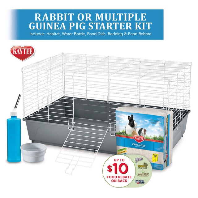 Rat Starter Kit - Cage, Hammocks, Dish, Food, Litter