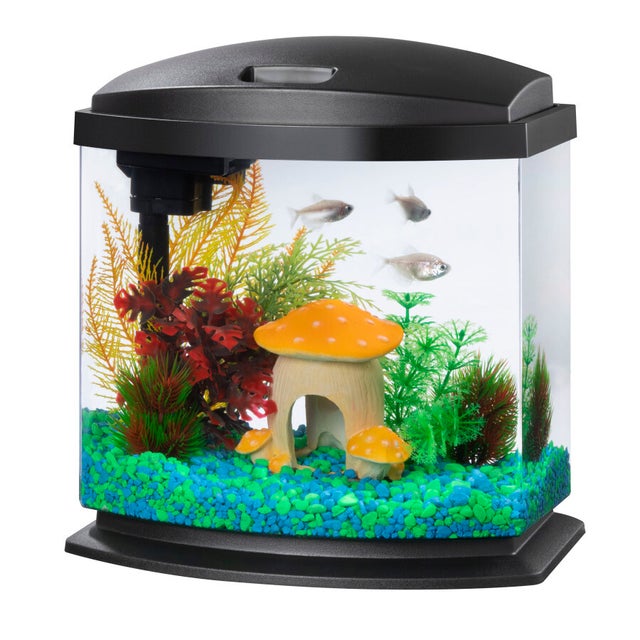Aqueon forge aquarium on sale stand