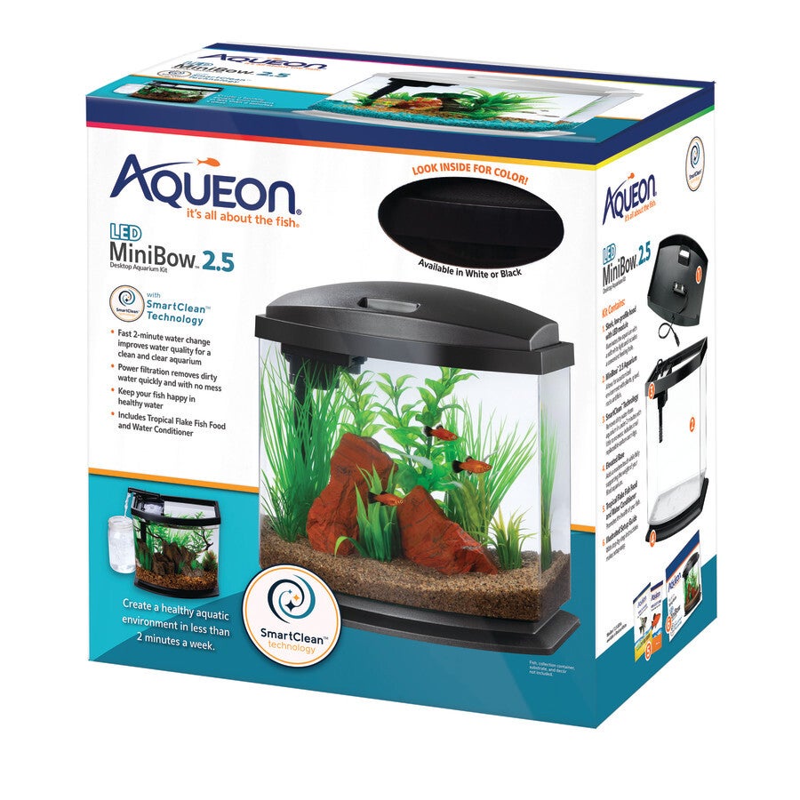 Betta bow 2.5 sales