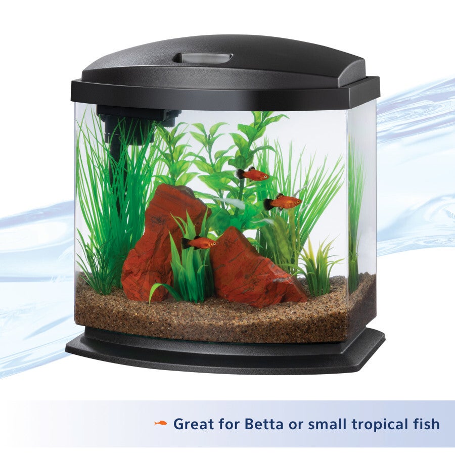 Aqueon 2.5 Gallon LED Black MiniBow Kit with SmartClean Technology PET TOPIA