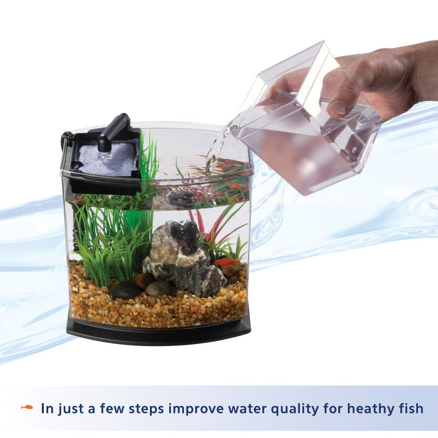 Aqueon 1 Gallon LED MiniBow Kit with SmartClean Technology Blue PET TOPIA