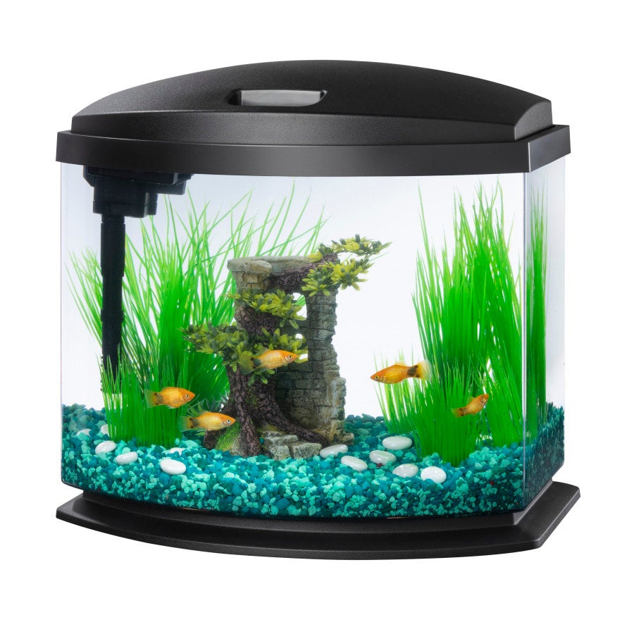 Aqueon 5 Gallon Black LED MiniBow Kit with SmartClean Technology PET TOPIA