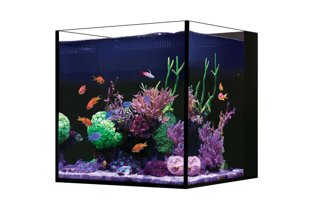 Red sea tank for sale outlet