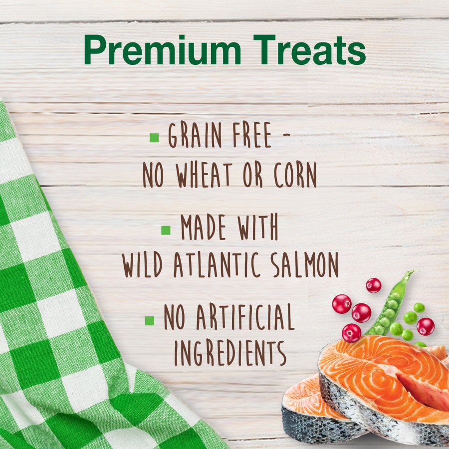 Nylabone Healthy Edibles Salmon Biscuits Grain Free Dog Treats