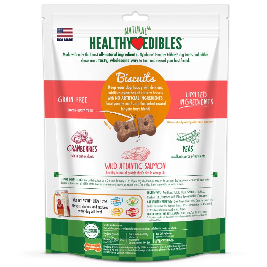 Nylabone salmon cheap