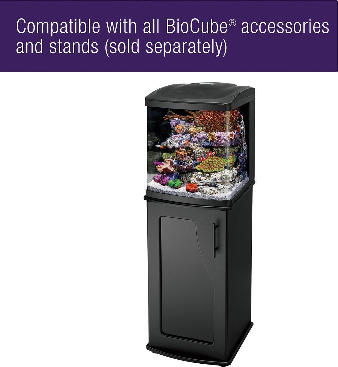Biocube fish tank 2025