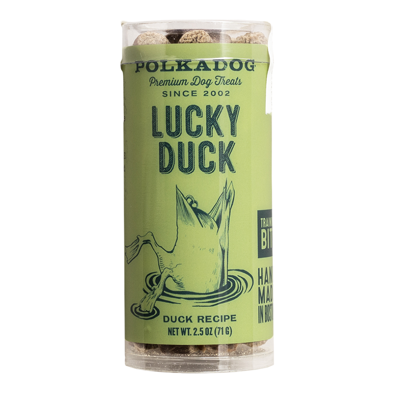Polka dog 2025 lucky duck