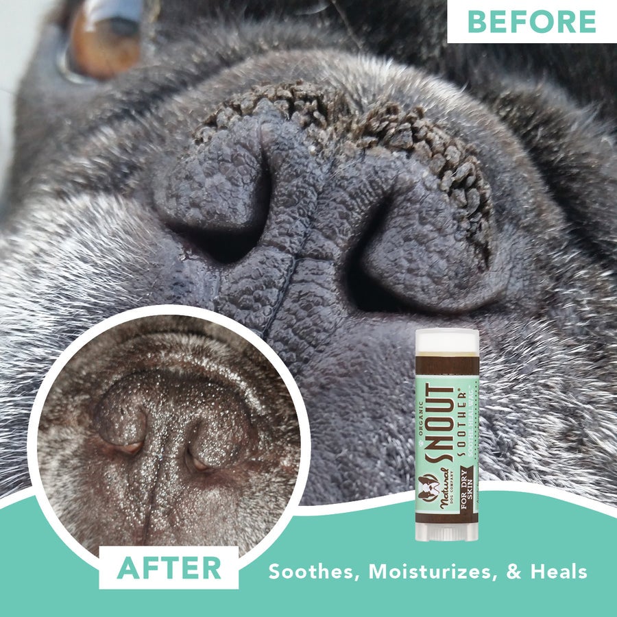 Natural Dog Company Snout Soother Travel Size Stick PET TOPIA