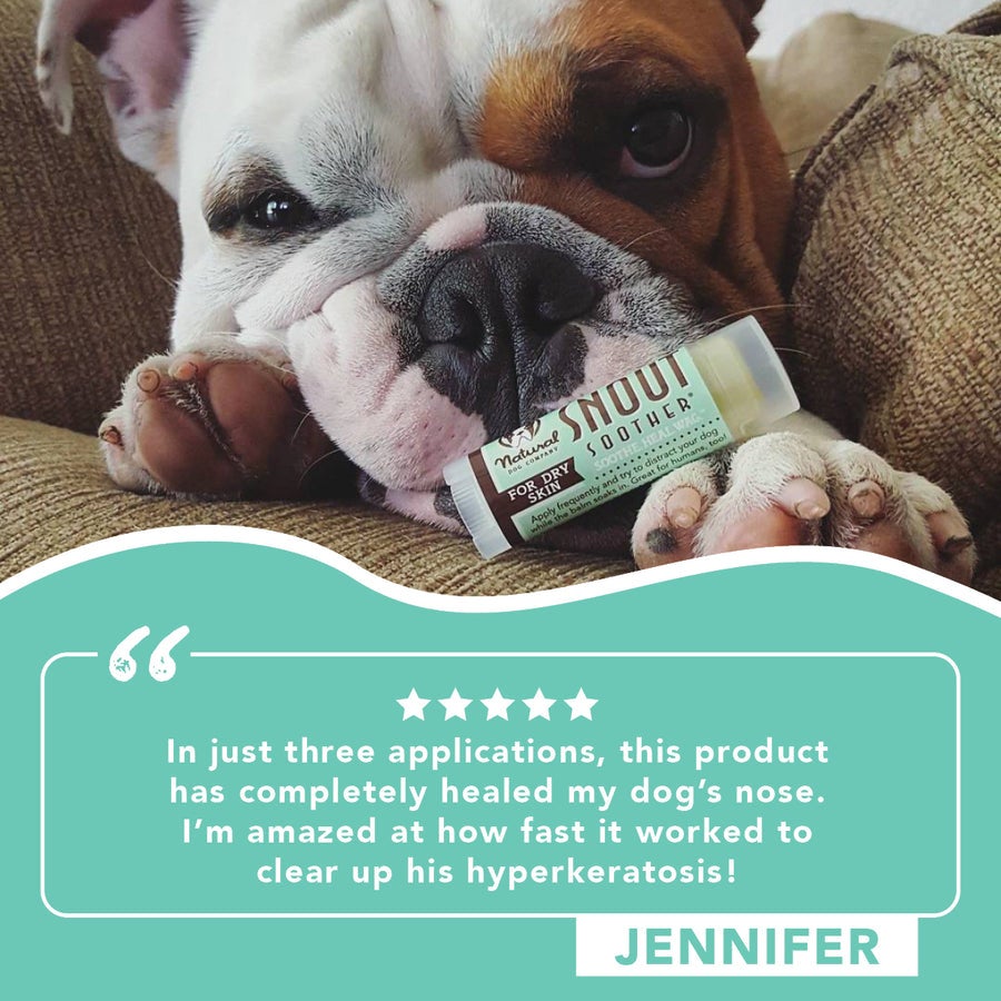 Natural dog company snout soother outlet
