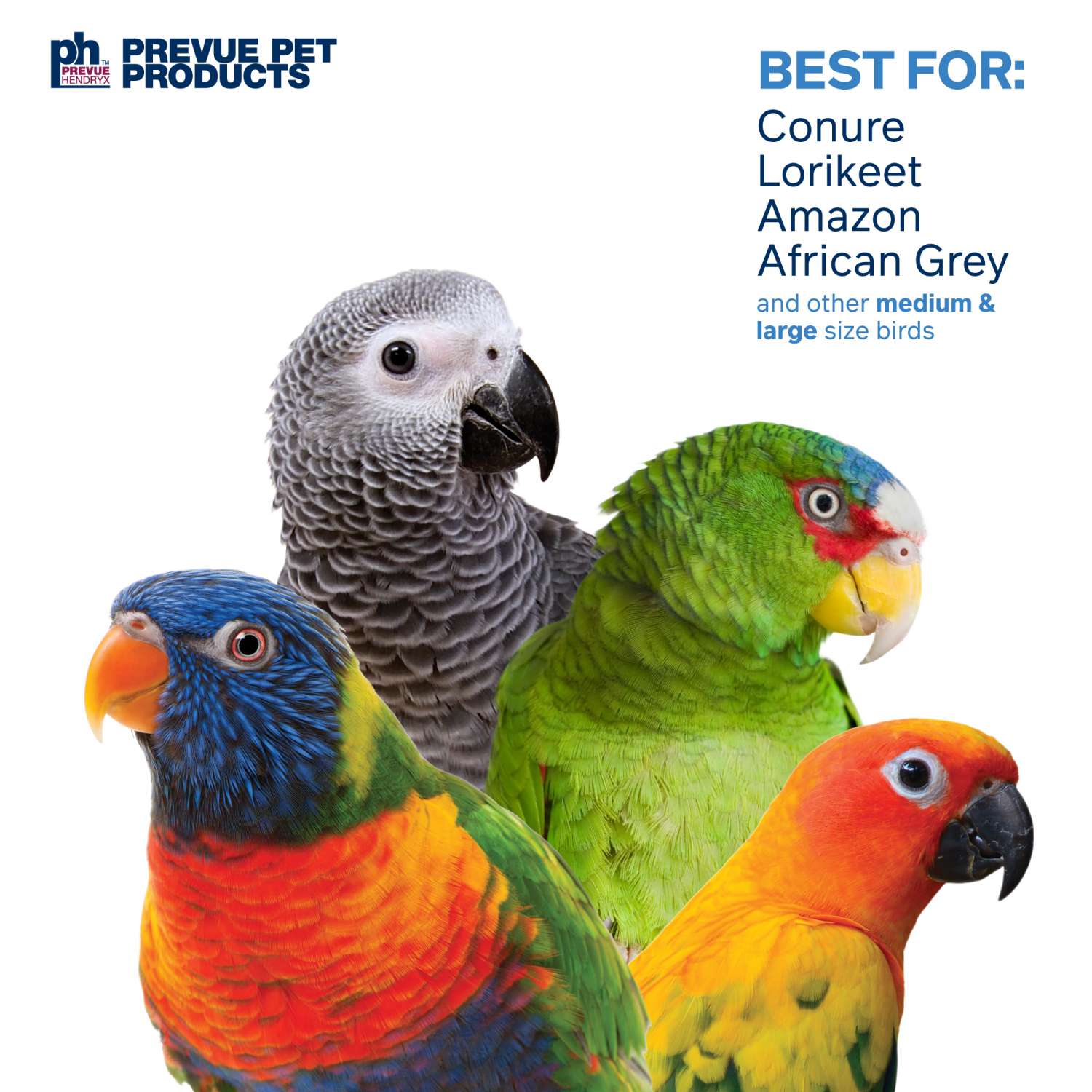 Pet valu birds shop