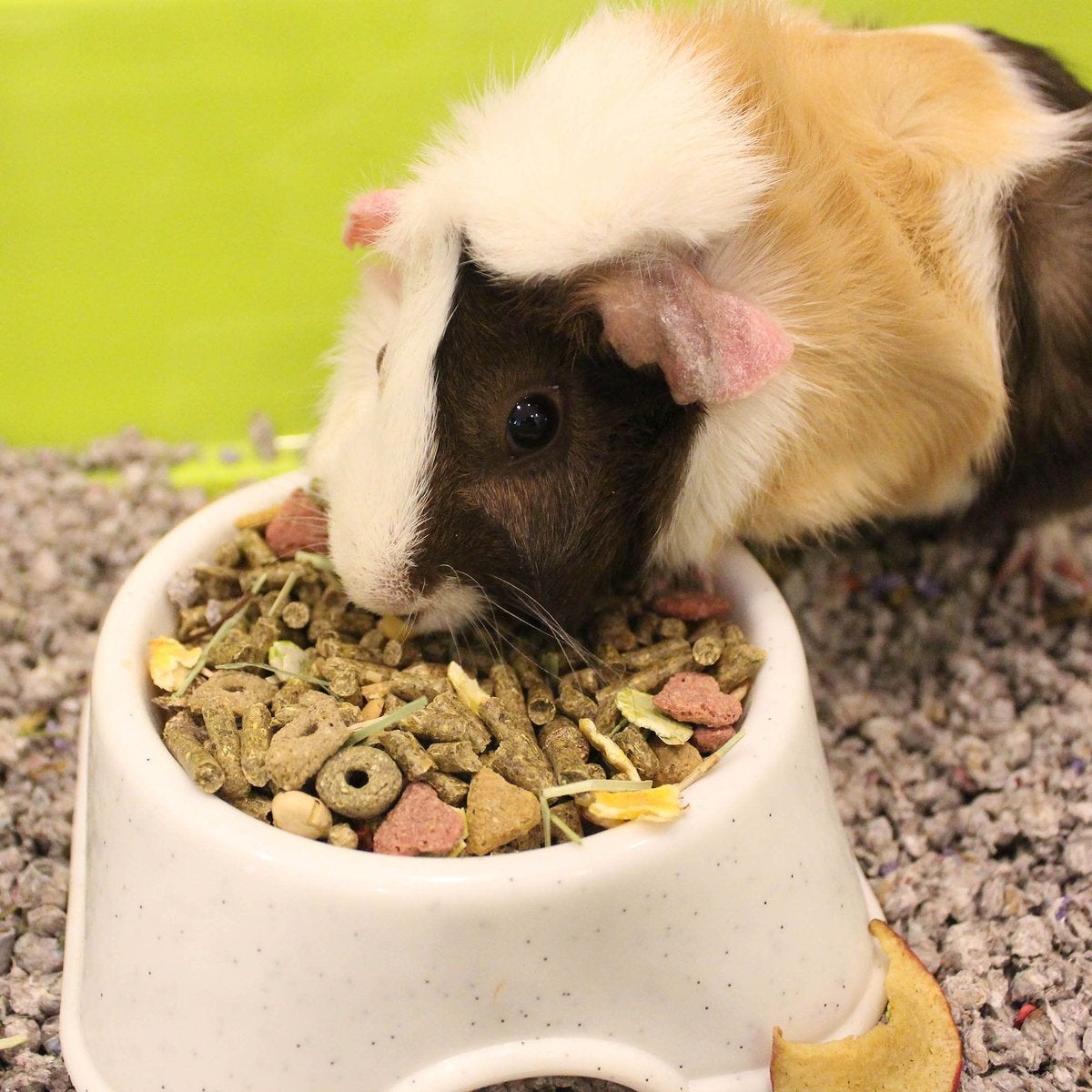 Vita prima guinea pig food outlet