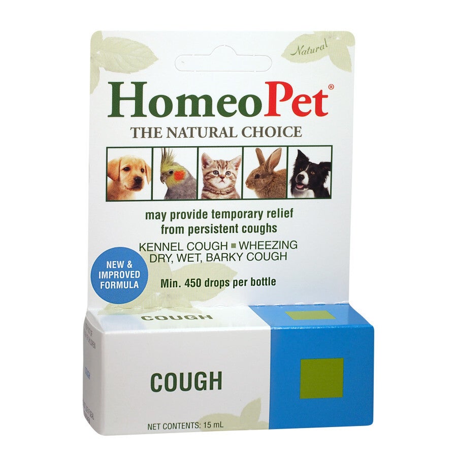 Spongia tosta outlet for dogs
