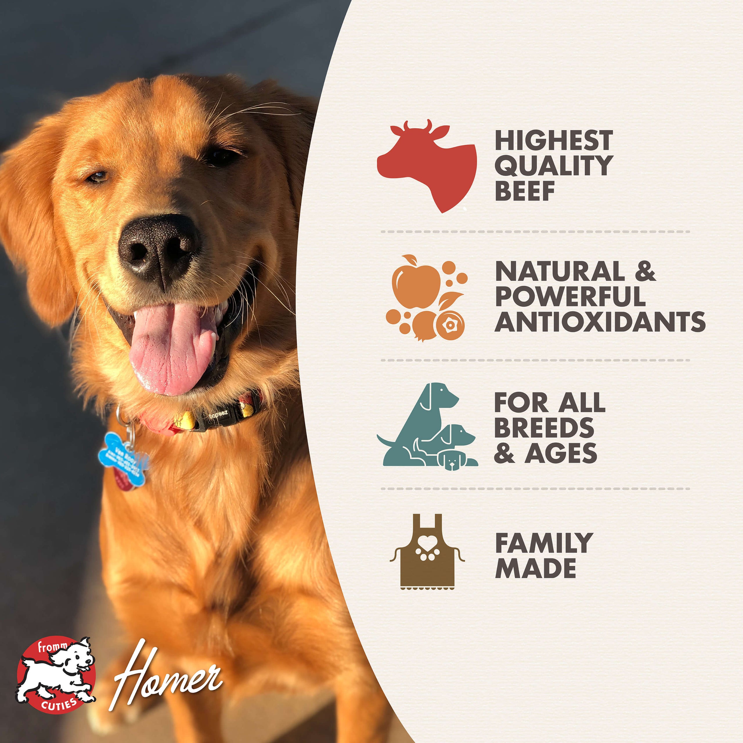 Golden retriever fromm best sale