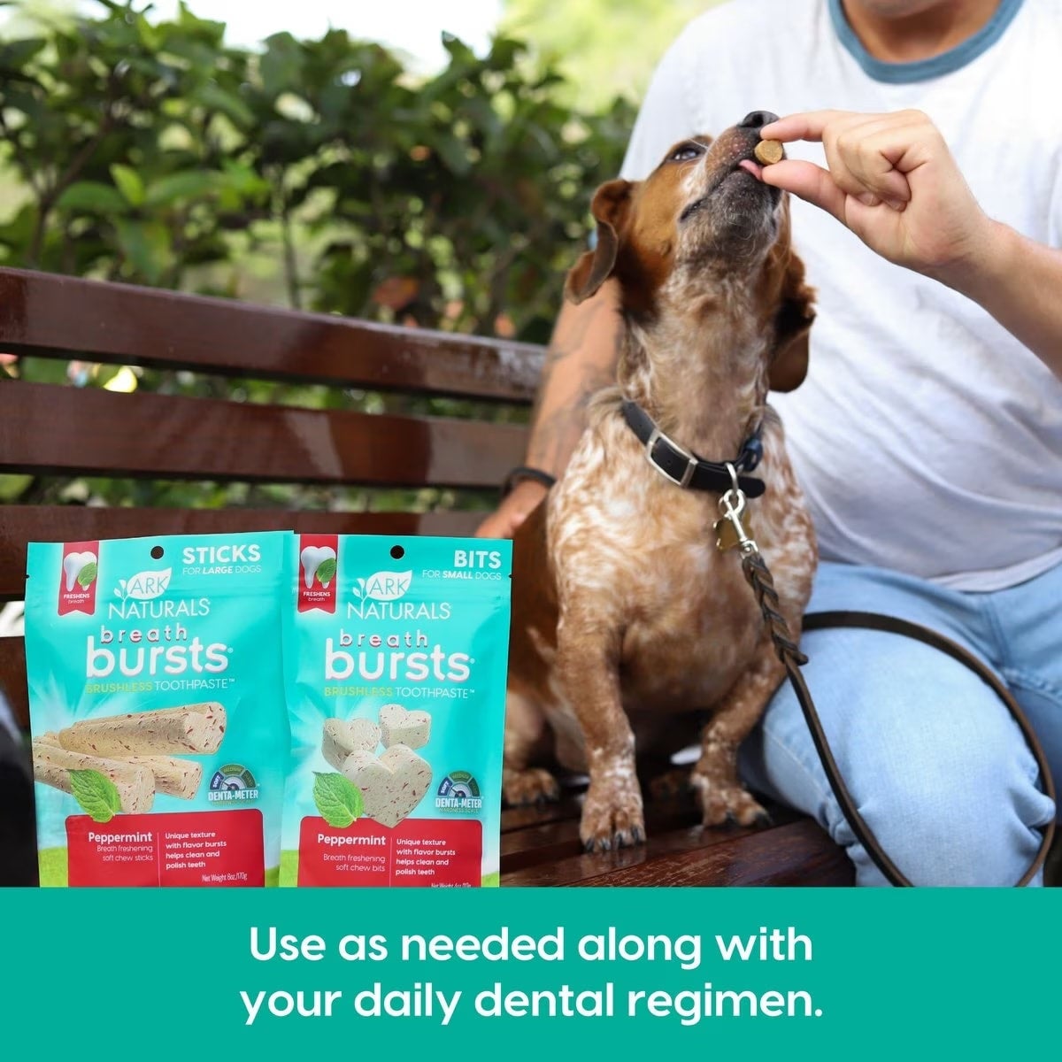 Ark Naturals Breath Bursts Peppermint Bits Dental Dog Treats PET TOPIA