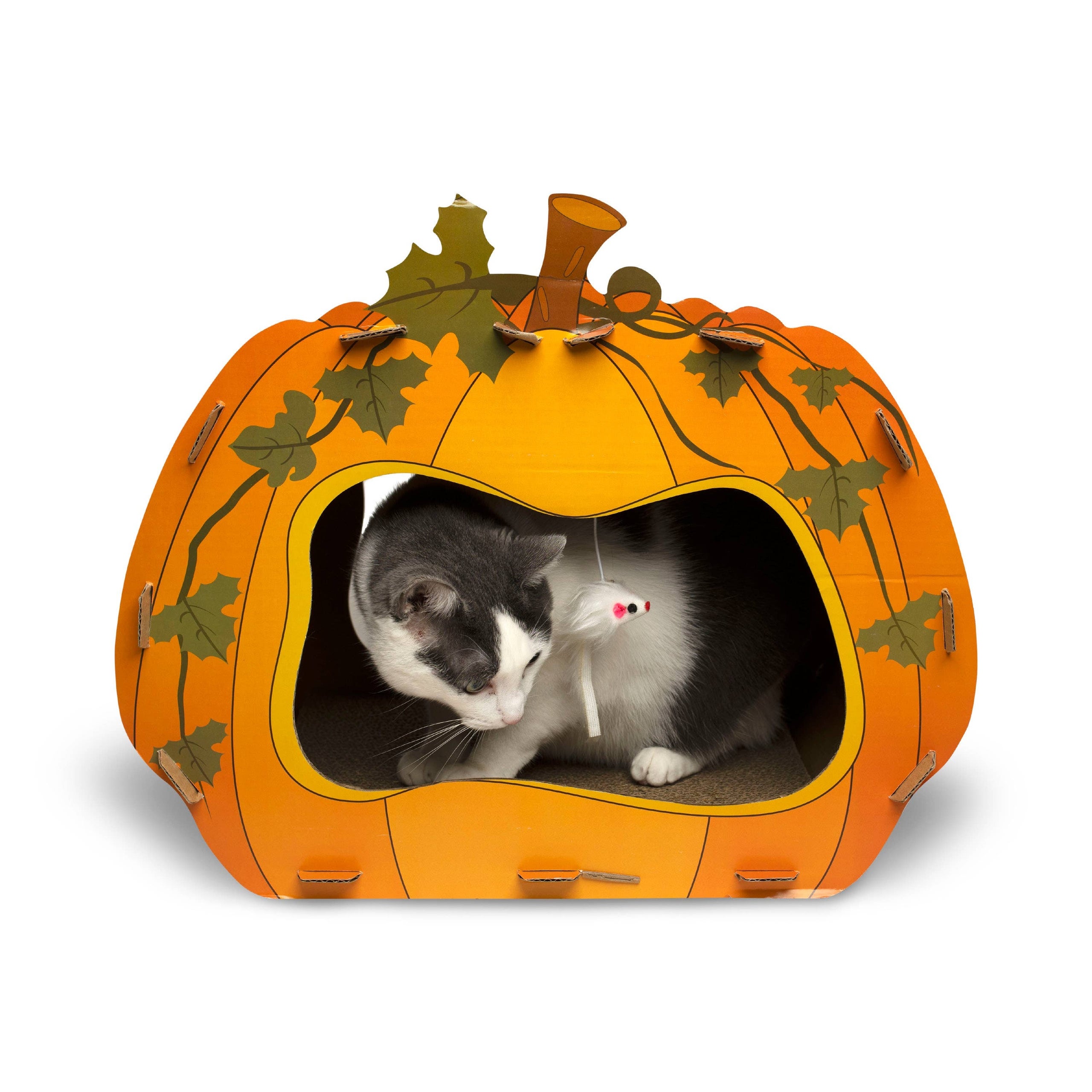 Cat gym inflange afterpay