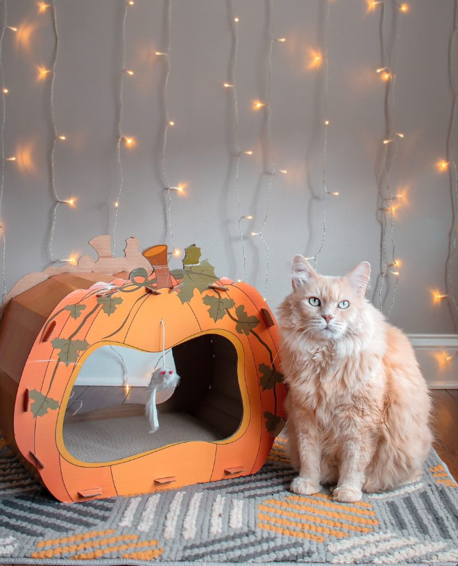 Halloween Pumpkin Cat Scratcher House with Catnip PET TOPIA
