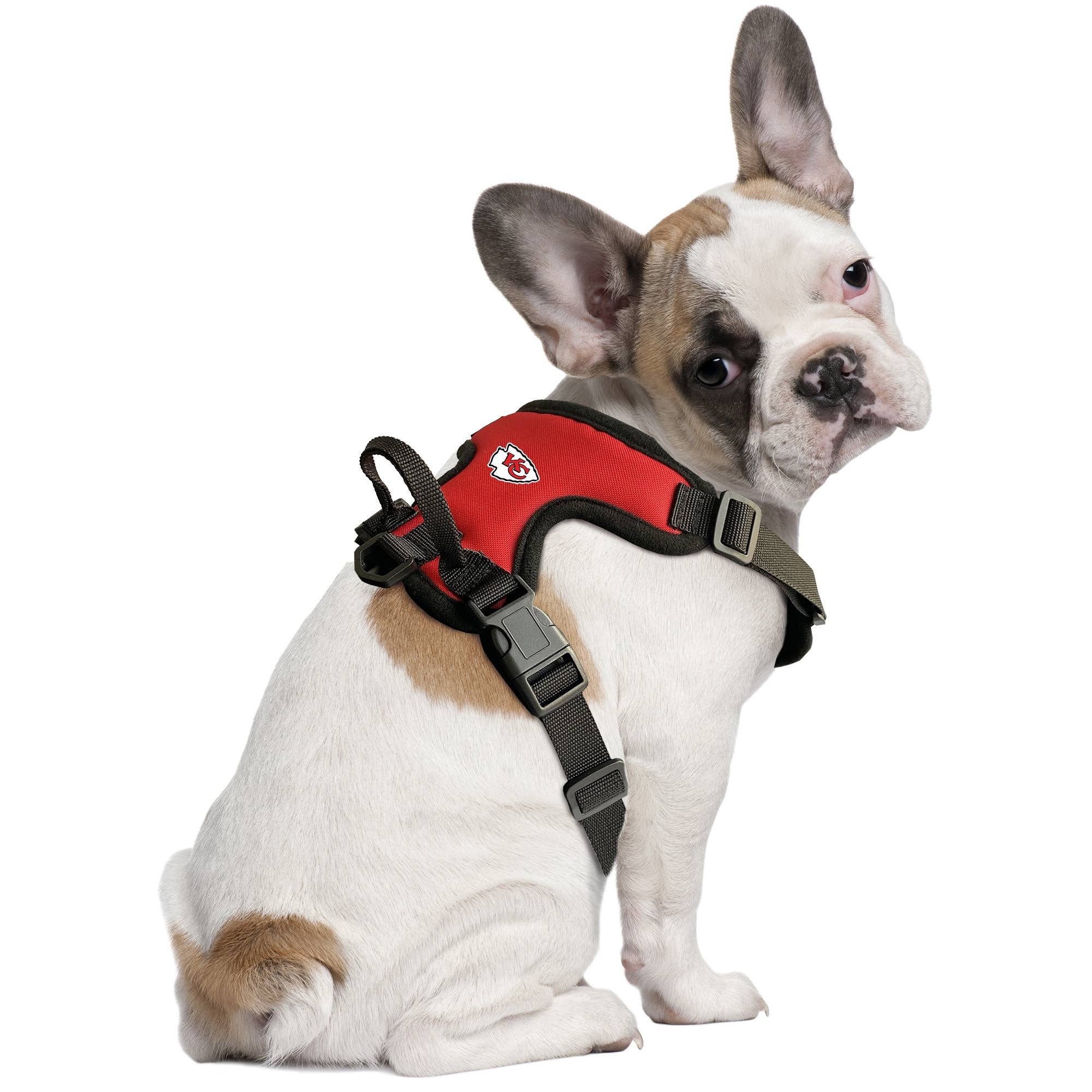 Pet city dog harness discount