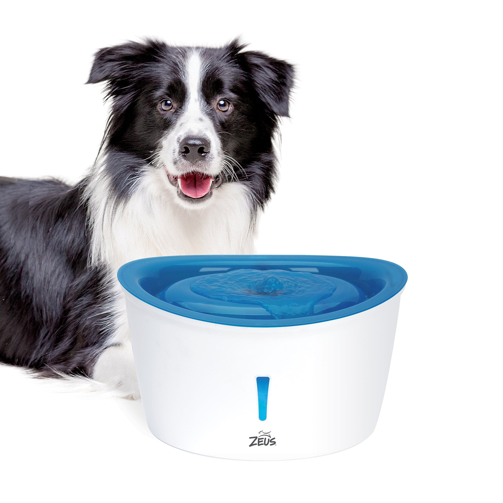 Dogit design fresh store and clear pet fountain