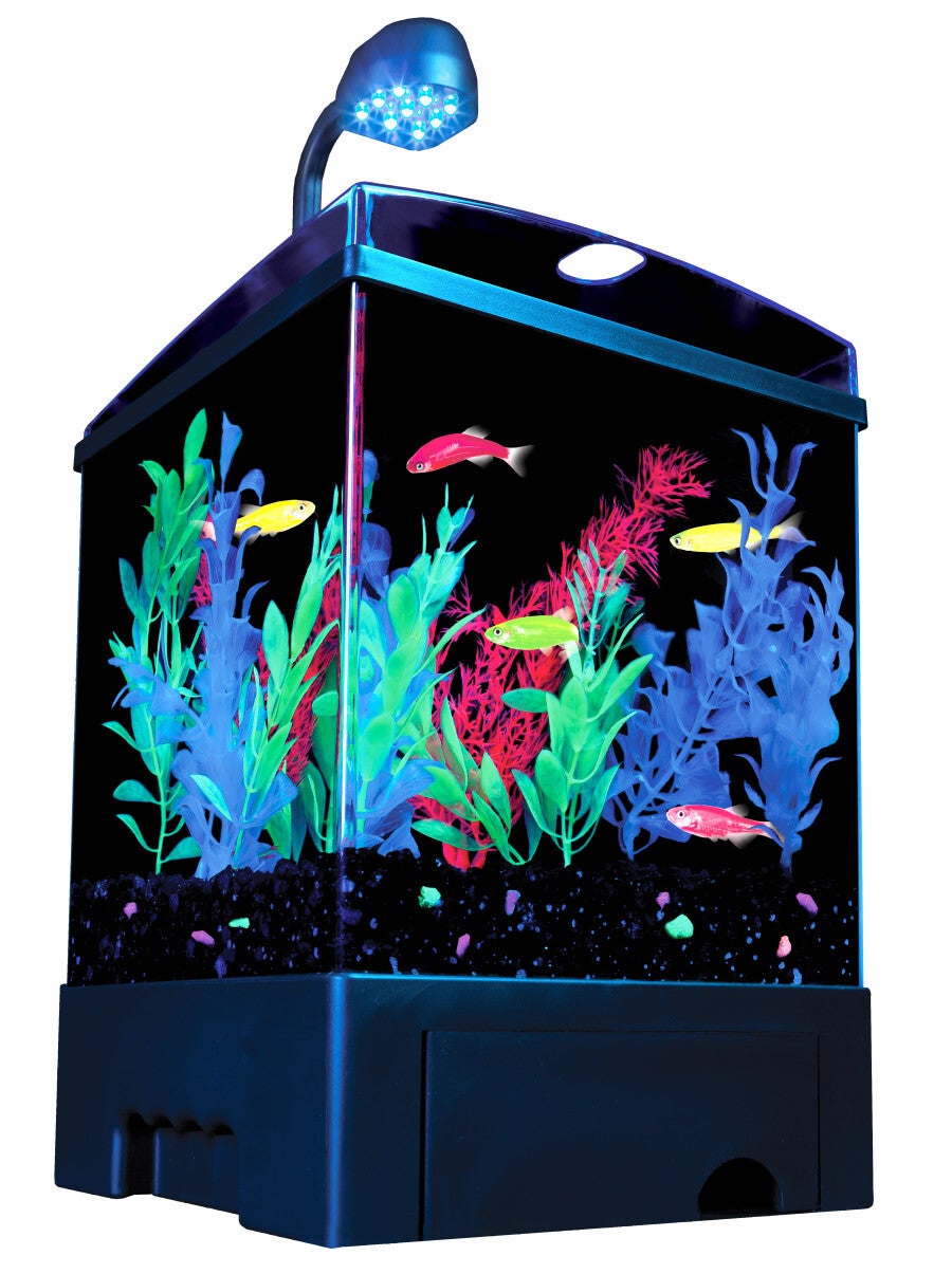 Glofish 1.5 Gallon Aquarium Kit PET TOPIA