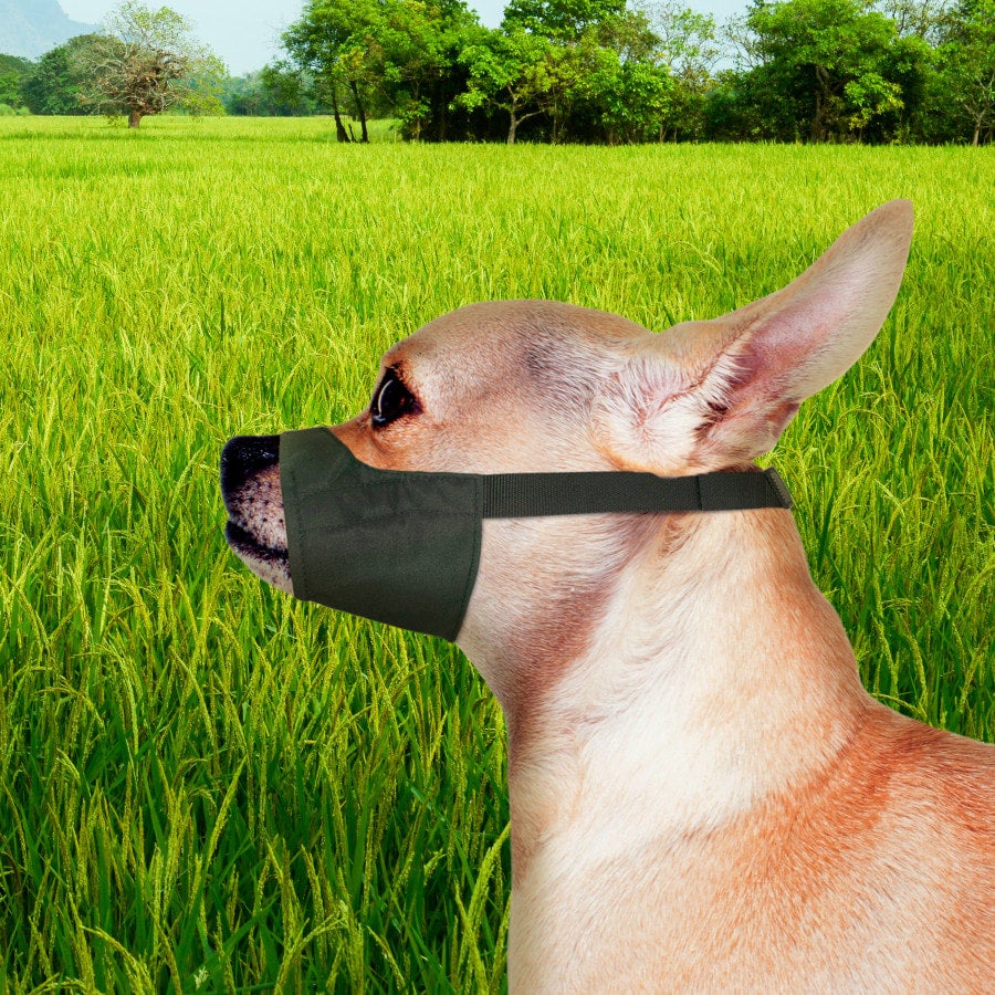 Four Paws Walk About Quick Fit Dog Muzzle XXS PET TOPIA