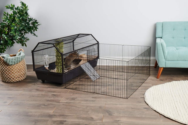 Oxbow guinea pig & dwarf rabbit habitat with play yard outlet