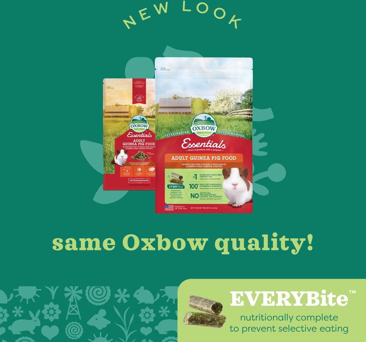 Oxbow adult guinea pig shop