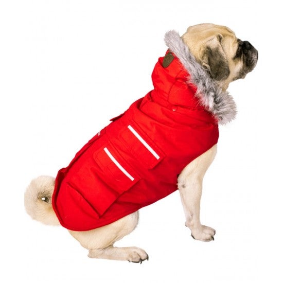 Canada pooch everest explorer jacket 2025