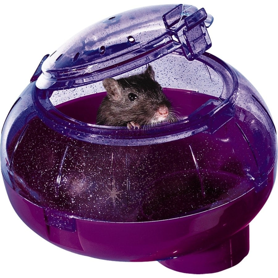 Crittertrail turn about habitat online