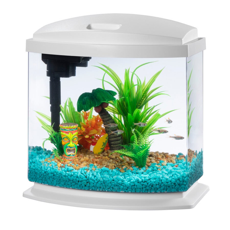 Aqueon mini bow 2.5 outlet
