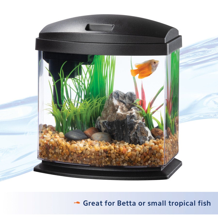 Aqueon LED MiniBow Small Aquarium Fish Tank Kit with SmartClean Technology,  B 